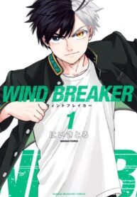 wind-Breaker-manga_-193×278.jpg